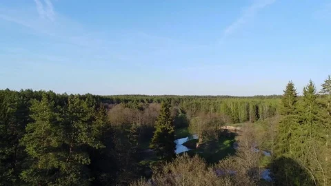 Flight over a forest. Aerial view. Stock Footage 76089192