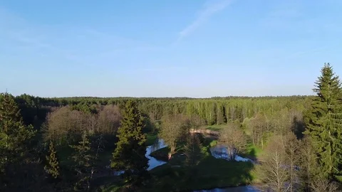 Flight over a forest. Aerial view. Stock Footage 76089247