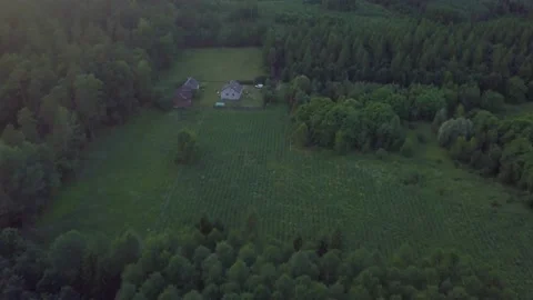 Flight over forest and house in forest. Drone shot. Stock Footage 156277950