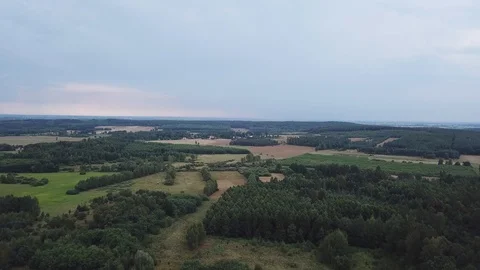 Flight over forest and meadows in summer, polish countryside at sunny day. Stock Footage 94014409
