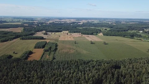 Flight over forest and meadows in summer, polish countryside at sunny day. Vídeos de archivo 94050077