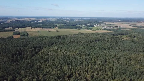 Flight over forest and meadows in summer, polish countryside at sunny day. Vídeo Stock 94051111