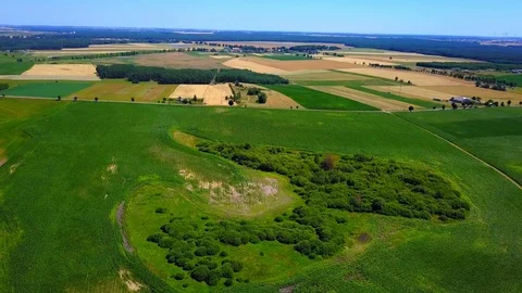 Flight over forest and meadows in summer, polish countryside at sunny day. Vídeo Stock 94555547