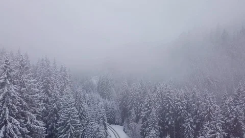 Flight over forest and mountain in winter Stock Footage 129688871