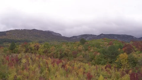 Flight over forest and mountains in clouds Stock Footage 123705760