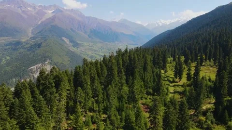 Flight over the forest and mountains in the region of Svaneti Georgia Stock Footage 168306337
