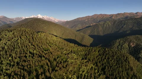 Flight over the forest and mountains in the region of Svaneti, Georgia 库存影片 220326881