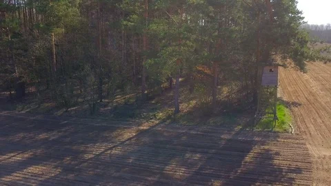 Flight over forest and raised hide Stock Footage 128327780
