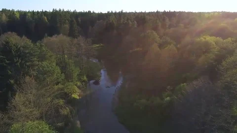 Flight over a forest and a river. Aerial view. Stock Footage 76054435