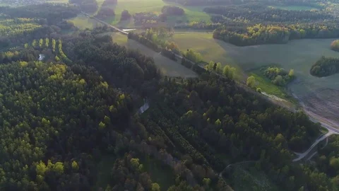Flight over a forest and a river. Aerial view. Stock Footage 76054436