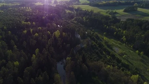 Flight over a forest and a river. Aerial view. Stock Footage 76089194