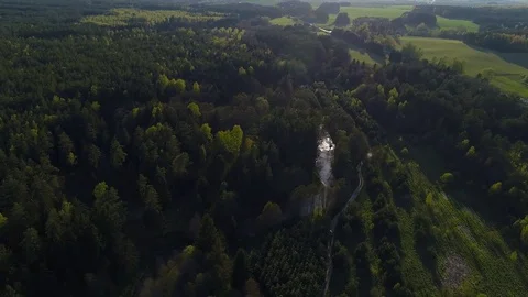 Flight over a forest and a river. Aerial view. Stock Footage 76089272