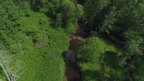 Flight over a forest and a river. Aerial view. Stock Footage 77208216