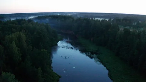 Flight over a forest and river in the early morning. Stock Footage 113135114