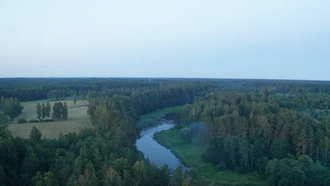 Flight over a forest and river in the early morning. Stock Footage 113136456