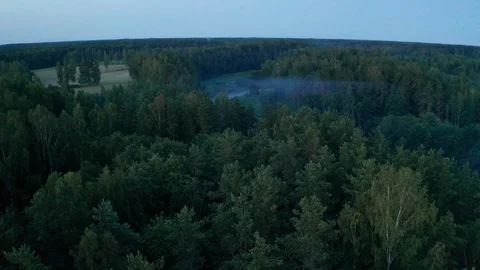 Flight over a forest and a small river in the early morning 動画素材 113138692