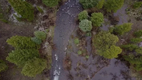 Flight Over Forest and Stream in Colorado Rocky Mountains Video stock 82808731