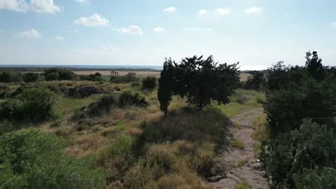 Flight over the forest area to the sea Video stock 238823661