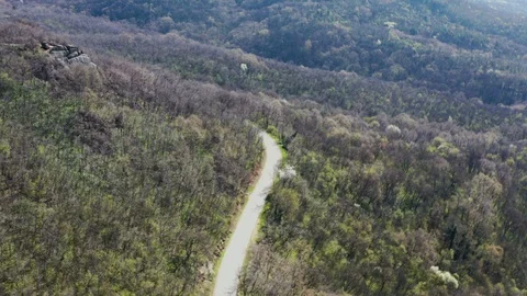 Flight over the forest with asphalt road Stock Footage 128139464
