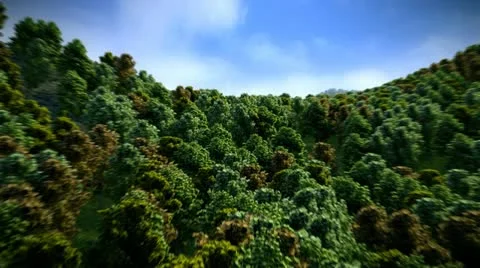 Flight Over Forest 스톡 동영상 18193521