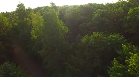 Flight over forest Stock Footage 52377233