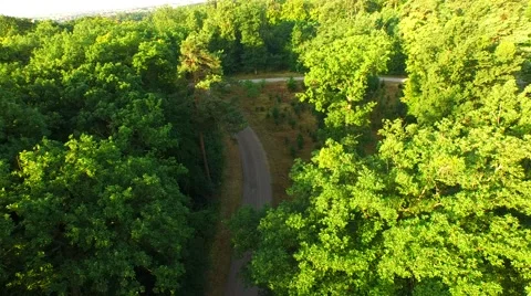 Flight over forest Stock Footage 52377272