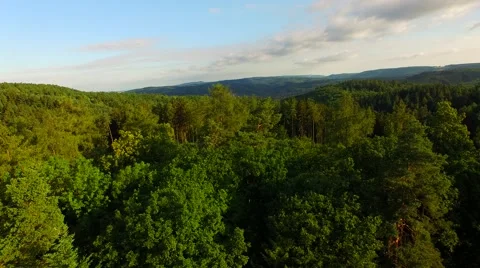 Flight over forest Stock Footage 52377310