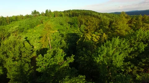 Flight over forest Stock Footage 52377376