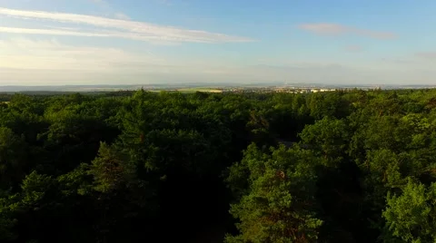 Flight over forest Stock Footage 52377377