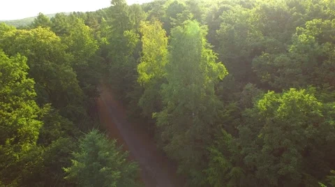Flight over forest Stock Footage 52377618