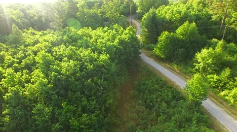 Flight over forest Stock Footage 52378209