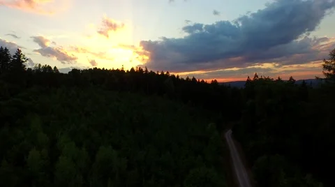 Flight over forest Stock Footage 52448518