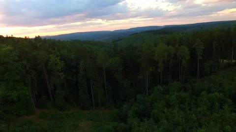 Flight over forest Stock Footage 52448553