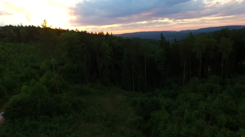 Flight over forest Stock Footage 52448711