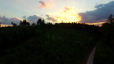 Flight over forest Stock Footage 52449027