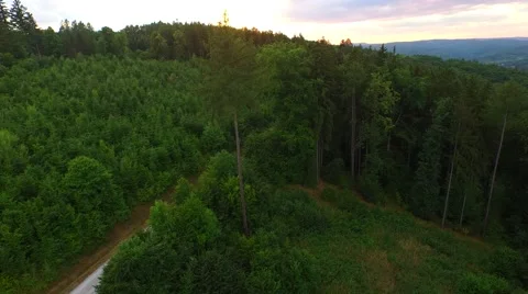 Flight over forest Stock Footage 52449458