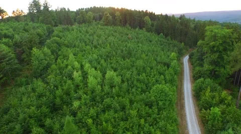 Flight over forest Stock Footage 52449479