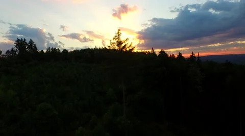 Flight over forest Stock Footage 52449504