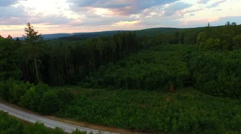 Flight over forest Stock Footage 52449969