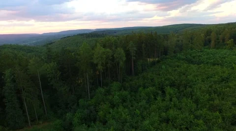 Flight over forest Stock Footage 52450213
