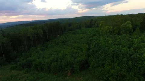 Flight over forest Stock Footage 52450297