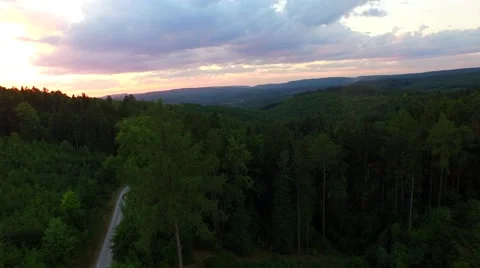 Flight over forest Video stock 52450748