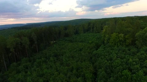 Flight over forest Stock Footage 52450810