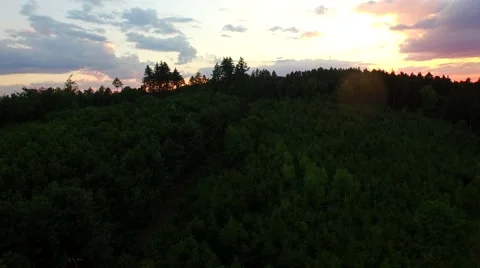 Flight over forest Stock Footage 52450875