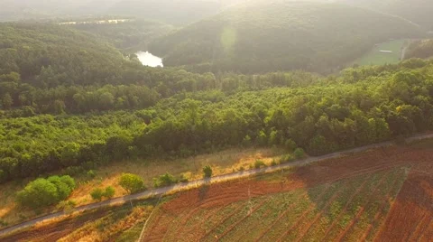 Flight over forest Stock Footage 52500819