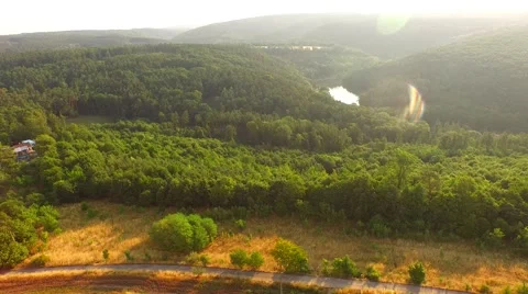 Flight over forest Stock Footage 52500942