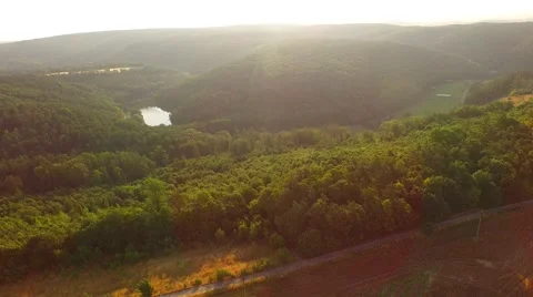 Flight over forest Stock Footage 52501079