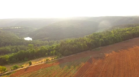 Flight over forest Stock Footage 52511981