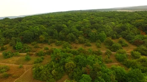 Flight over forest Stock Footage 52687958