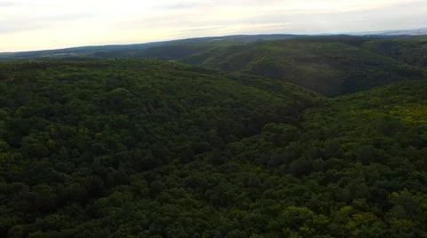 Flight over forest Stock Footage 52689524